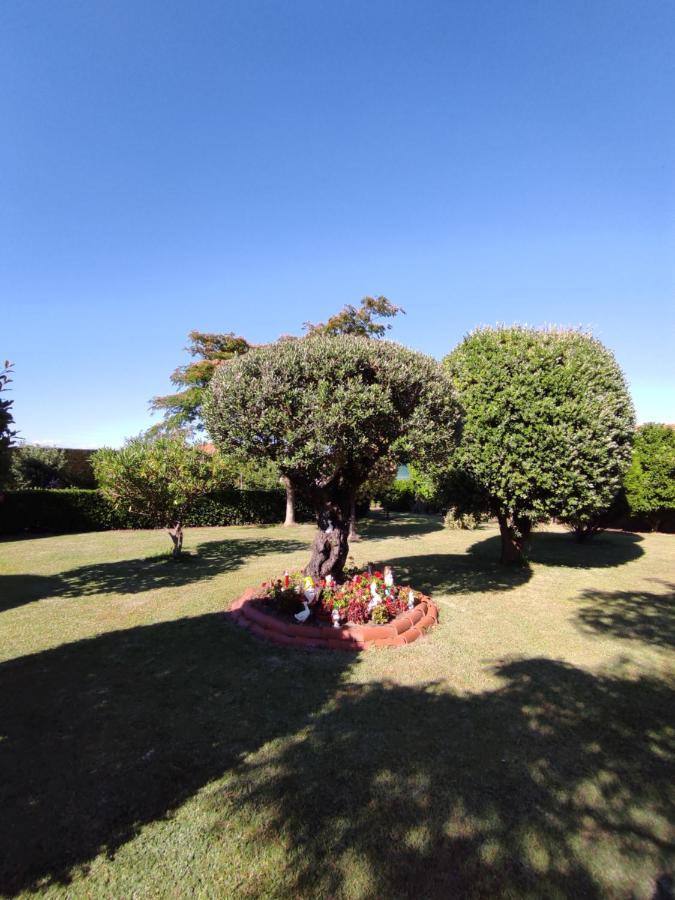 Pension Casa Carmela Playa de la Lanzada Kültér fotó
